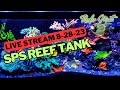 Reefer matts sps tank live