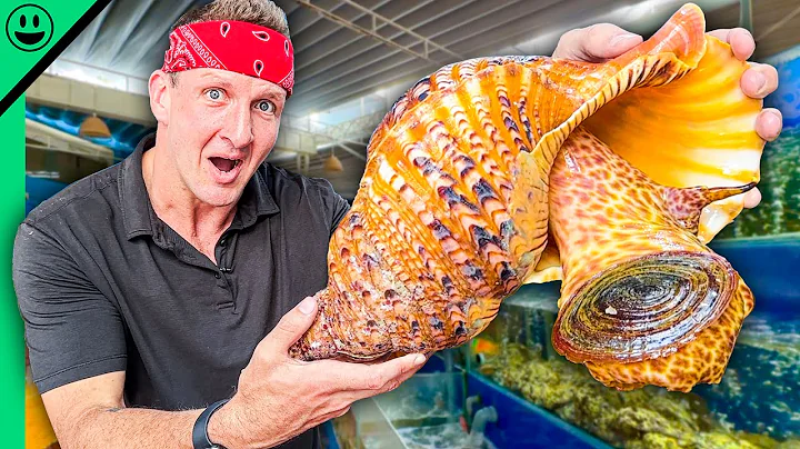 $1000 Seafood Challenge in Vietnam!! Asia’s Exotic Shellfish!! - DayDayNews