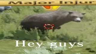 The Wolfquest Accurate Ironwolf Experience