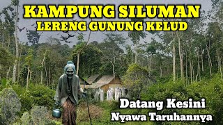 Download Lagu Ngeri !! Kampung Siluman Lereng Gunung Kelud\ MP3 Download Lagu Ngeri !! Kampung Siluman Lereng Gunung Kelud\ MP3
