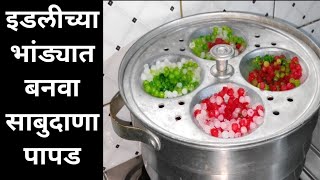 साबुदाणा पापड | कमी वेळात व कमी मेहनतीत बनवा वाफेवरचे साबुदाणा पापड | Sabudana Papad | papad recipe