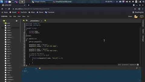 C Language: Implementing a phone book with structs