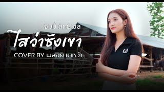 ไสว่าซังเขา - พลอย นาหว้า【Cover Version】