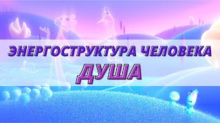 видео: Что такое душа? Тонкие тела человека картинка: Что такое душа? Тонкие тела человека