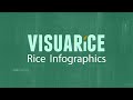 Rice infographics farmers sources of information