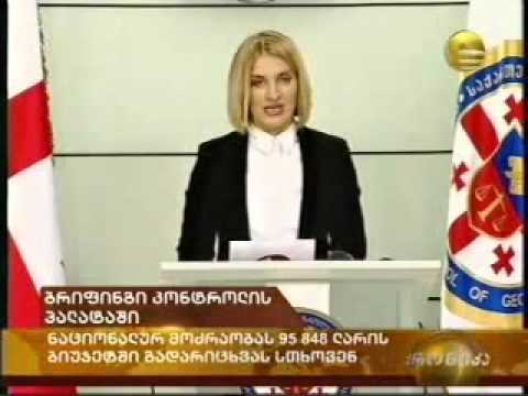 2012.02.20 ბრიფინგი კონტროლის პალატაში