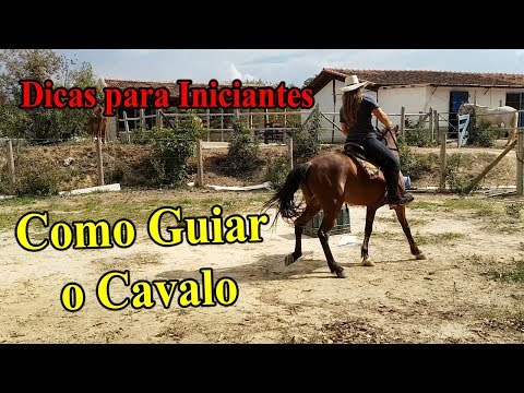 Como Controlar o Cavalo -  DICAS PARA INICIANTES