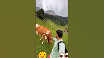 حتى اذا جاء امرنا و فار التنور _ القارئ اسلام صبحي