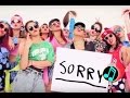 Justin Bieber Sorry Instrumental (FLP+MP3)