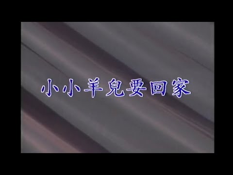 卓依婷 小小羊儿要回家 黄金九岁 歌坛小公主