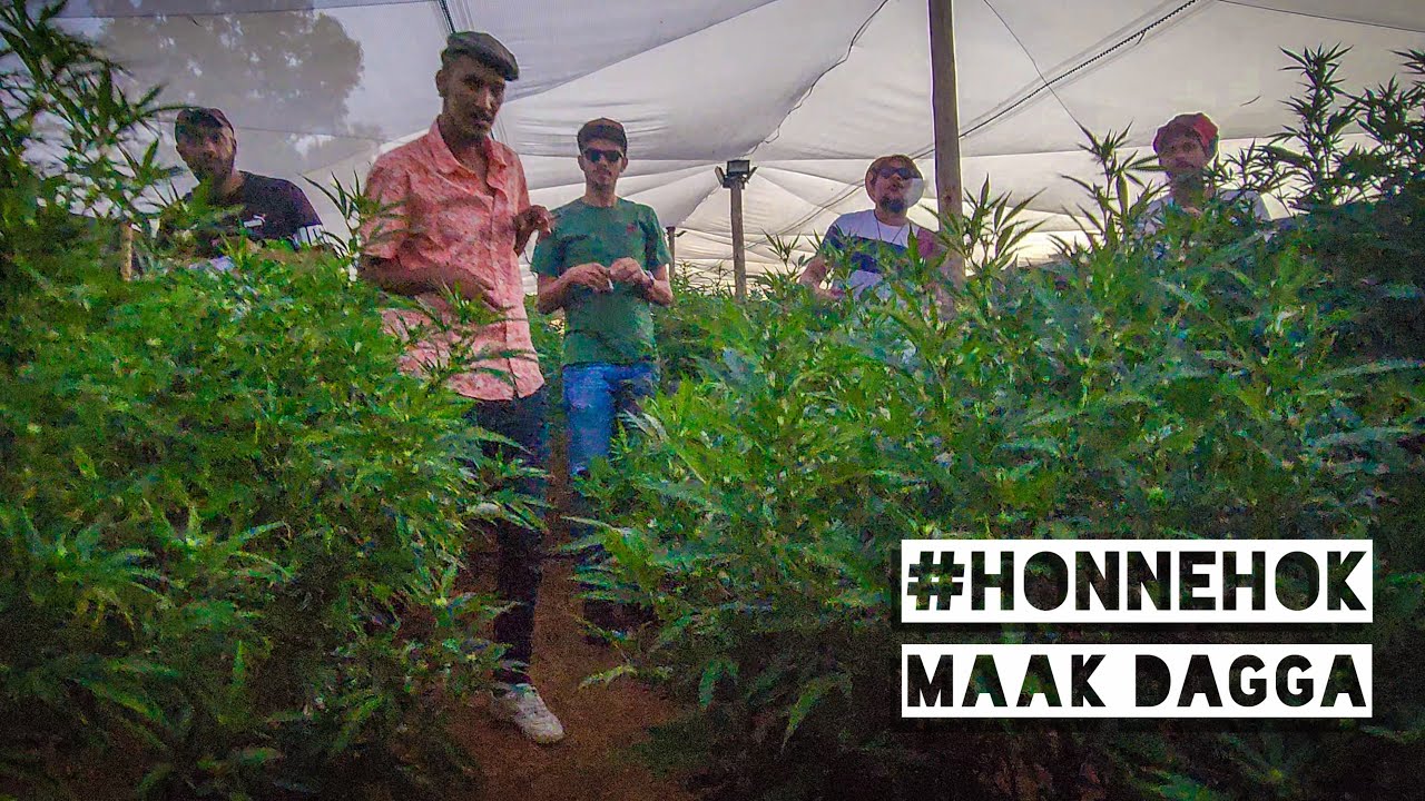 #HONNEHOK | MAAK DAGGA (Official Music Video)