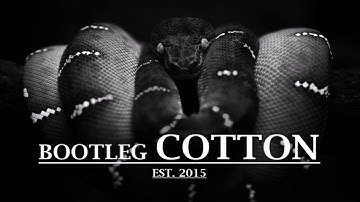 Source Direct - Snake Style 2