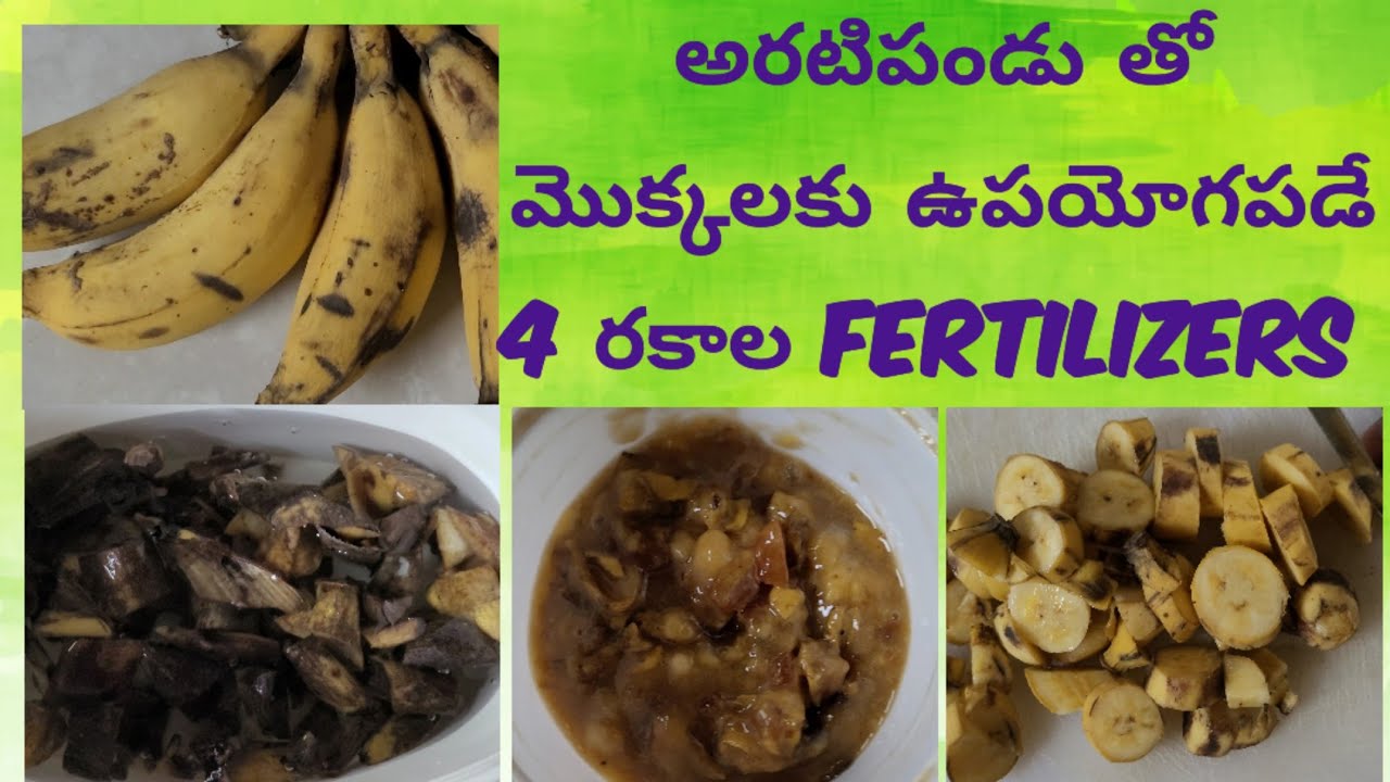 4 types of banana fertilizers for plants అరటిపండుతో మొక్కలకు ఉపయోగపడే