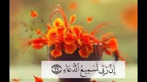 سورة القيامة صوت جميل للقارئ بلال بن رشاد القرعاني المصري برواية حفص عن عاصم / belal _ almesry