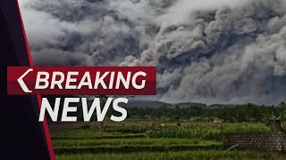 BREAKING NEWS - Update Situasi Gunung Semeru Pasca Erupsi