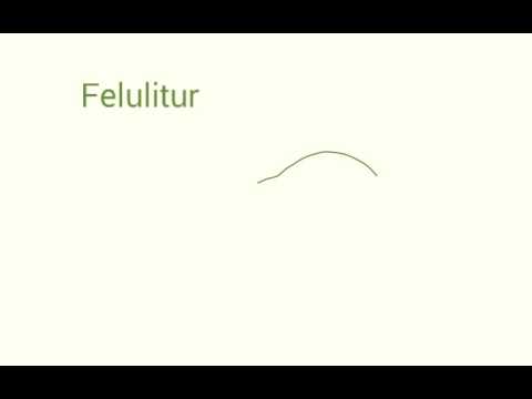 Felulitur