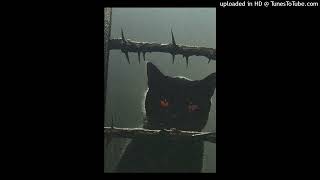 Free 2025 Type Beat Slattcrank X Mightymason X Pepel Nahudi Prod. Spookyjoint