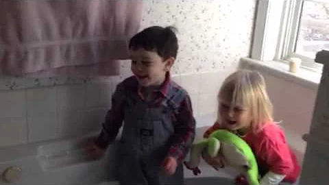 Darcy and Harlan