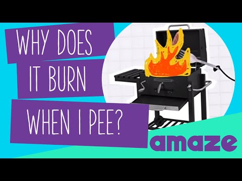 Why Does It Burn When I Pee? #AskAMAZE