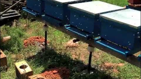Beekeeping: Building Ant Proof Hive Stands