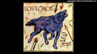 Video thumbnail of "Los Lobos - The Breakdown"