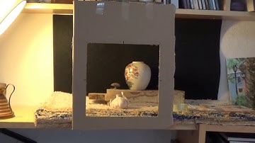 Viewfinder for painting still life