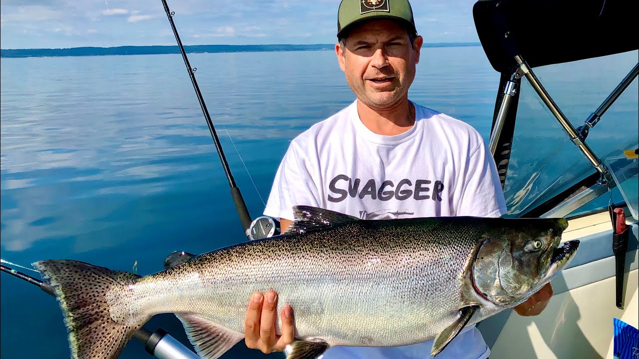 Lake Ontario salmon fishing (bonus steelhead) YouTube