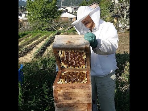утро дождь Japan Beehavi
