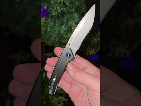 Tuotown Aus8 Folding Knife       