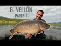 CARPFISHING en el VELLÓN - Parte 1 - Pescando carpas a lance  // Young Carp