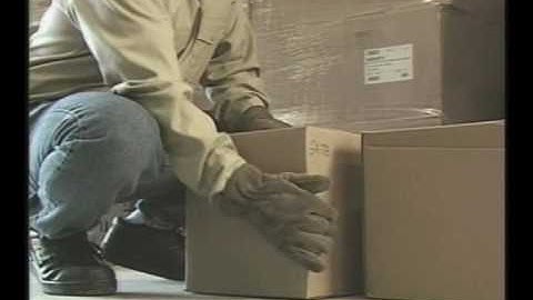 PRIME 1 - Materials Handling Safety DEMO.wmv