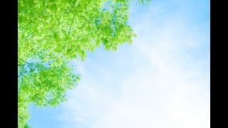 （詩）朝に　立原道造　朗読：向井智子