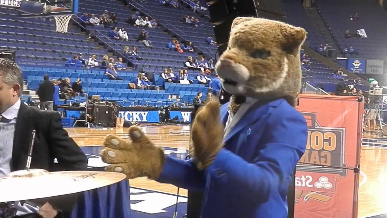 university of kentucky mascots espn gameday feb 2014 youtube
