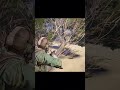 Arc Raiders - How shoot perfectly  #arc #arcraiders #arcraidersgameplay