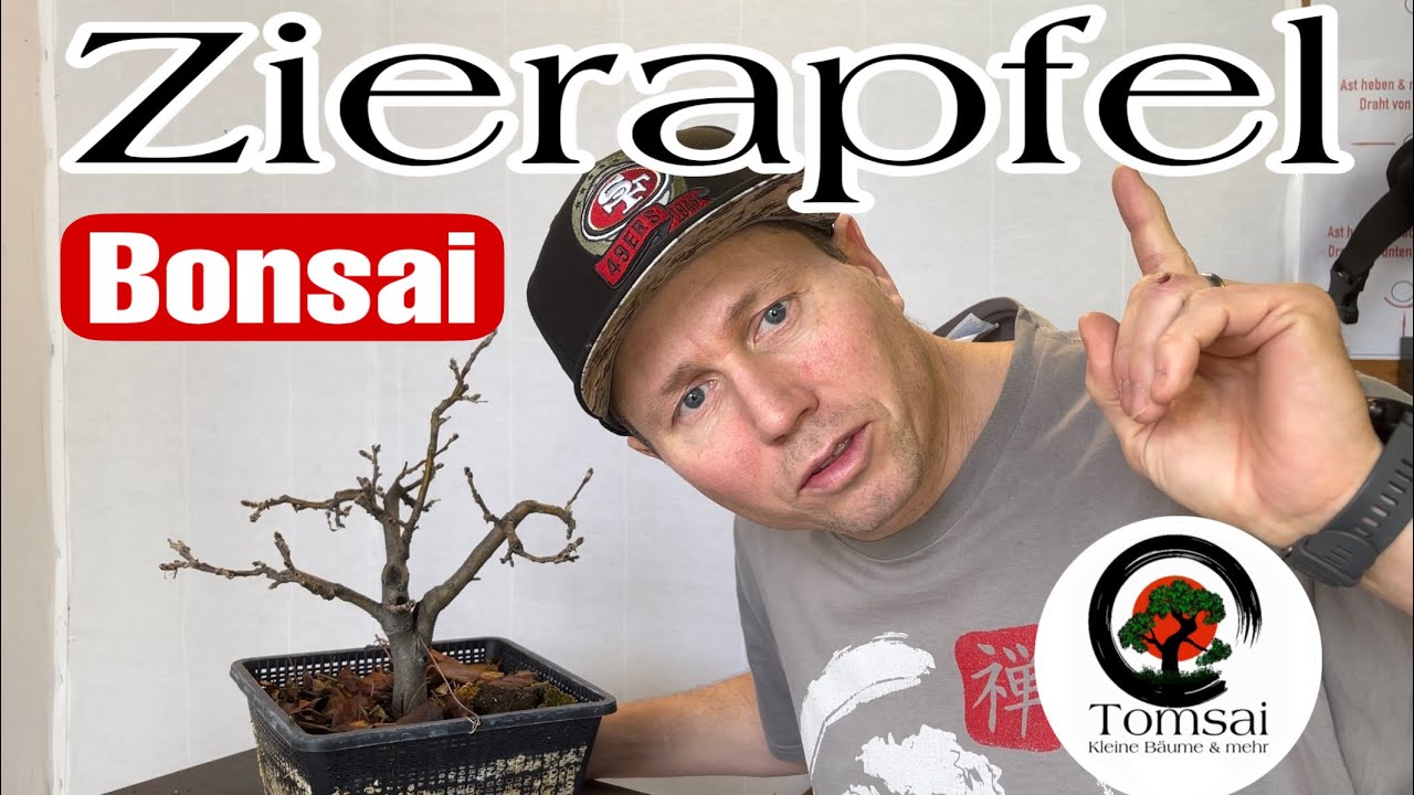 Zierapfel „Malus“ Umtopfen Bonsai 7/24 YouTube