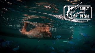 Built to Fish Season 2 Episode 11 - Great Barrier Island Part 1