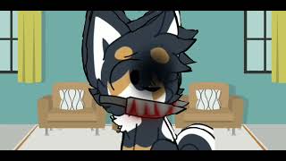 Dog Accidentally Stab S Me And He Felt Bad