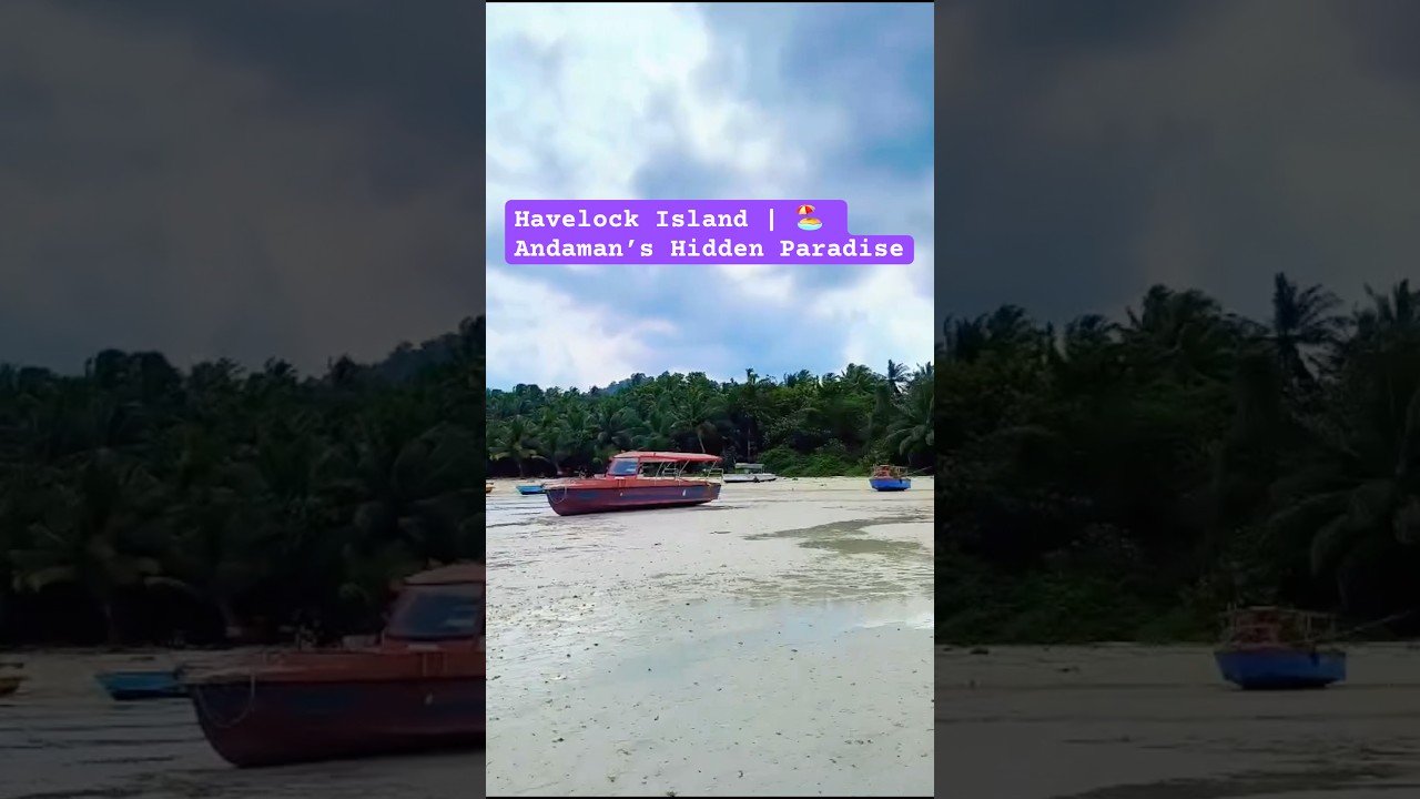 Haveloc Island Mood 🌊| 