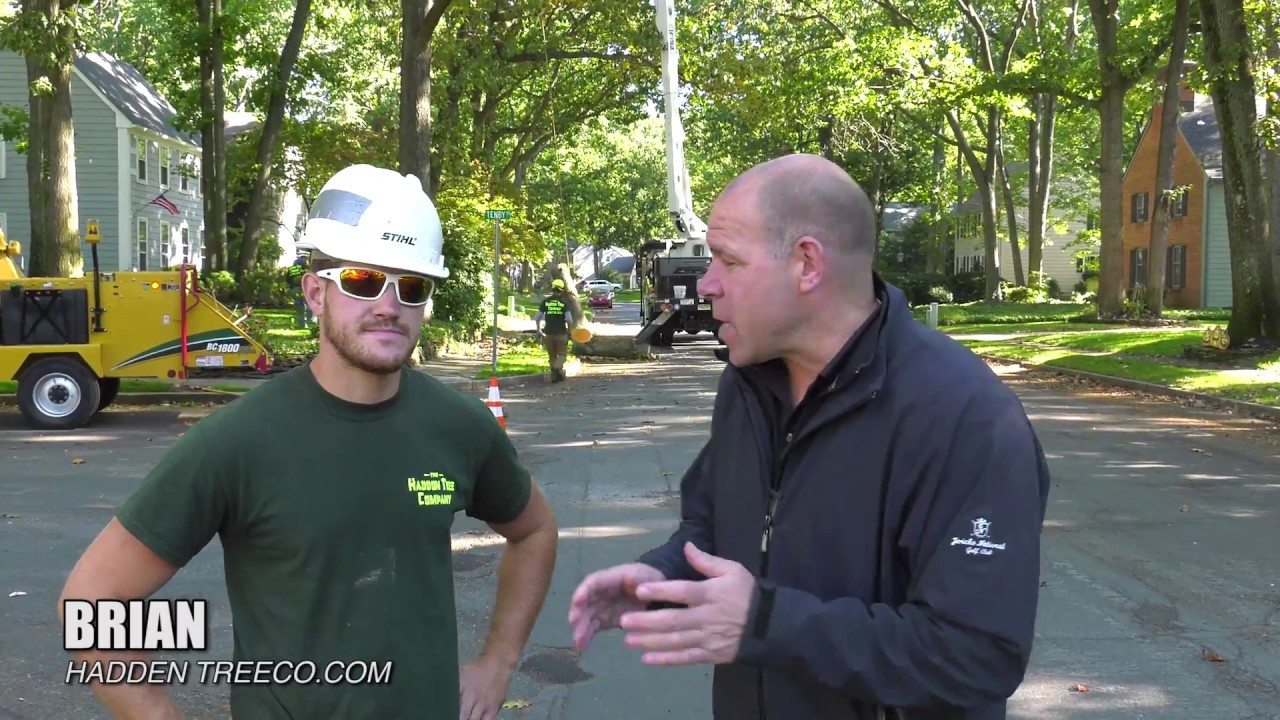Meet Tree Services Winslow NJ 856-795-3333 Tree Service Winslow NJ