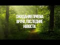 Ожидания приема врача, последние новости.