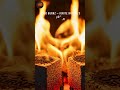 Premium Coconut Charcoal Briquettes in Sri Lanka | Coco Burnz BBQ & Wholesale Fuel👌