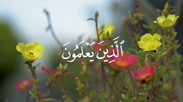 تلاوة مؤثرة - أَمََّنْ هُوَ قَانِتٌ آنَاءَ اللَّيْلِ سَاجِدًا وَقَائِمًا يَحْذَرُ الآخِرَةَ
