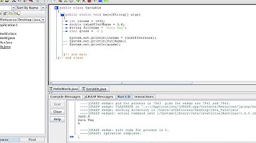 Learn Java for beginners - Lesson 3 - Variables, Decalaration and usage.