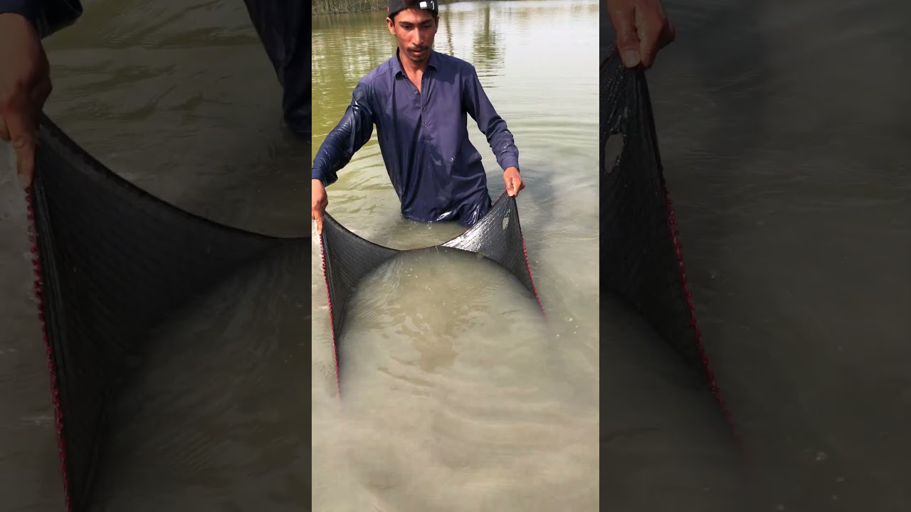 Real.fishing Real. Fun