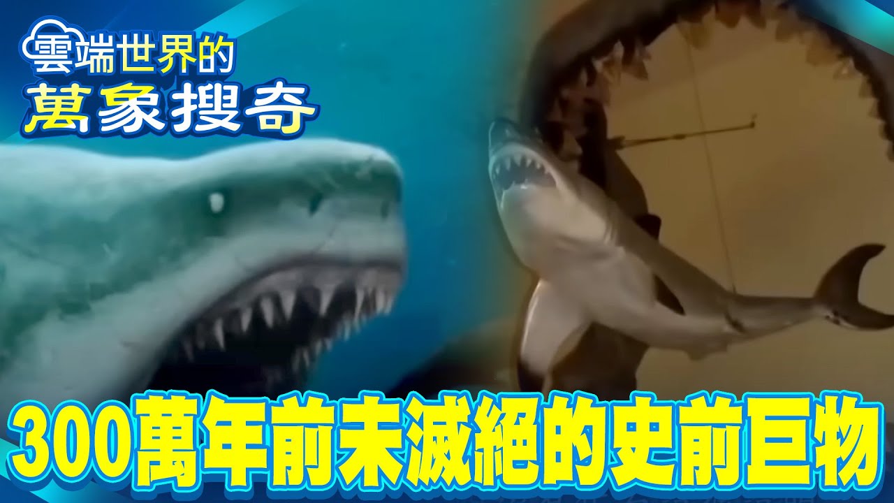 史前巨型生物！300萬年前未滅絕？！至今沒有天敵？秘隱最深海溝…【57怪奇物語】 @57怪奇物語