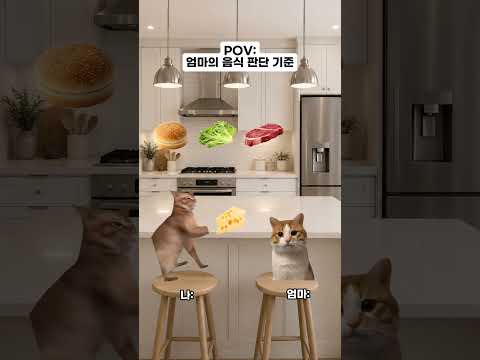 고양이 밈 🐱 엄마의 음식 판단 기준 #catmemes #relatable #relationship thumbnail
