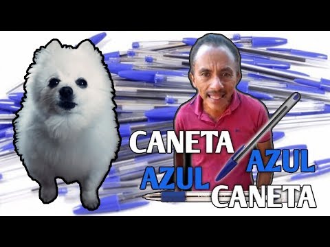 CANETA AZUL em CACHORRÊS