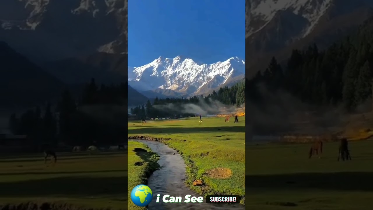 i can see world 👀 @NaturalCures@DuckyBhai @Sistrology  @worldstarhiphop