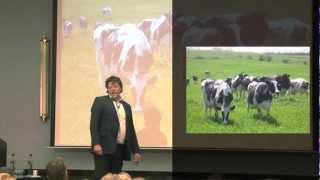 Werner van Disseldorp over Dynamic Packaging