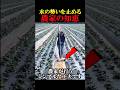 水の勢いを止める農家の知恵